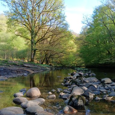 La Barrak - chez nous La Barrak maison et terrain a louer pour évènements, en pleine nature bordé par une riviére. Creuse Nouvelle Aquitaine